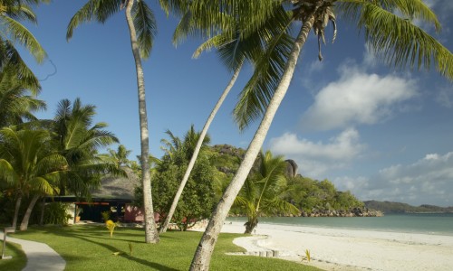 Paradise Sun